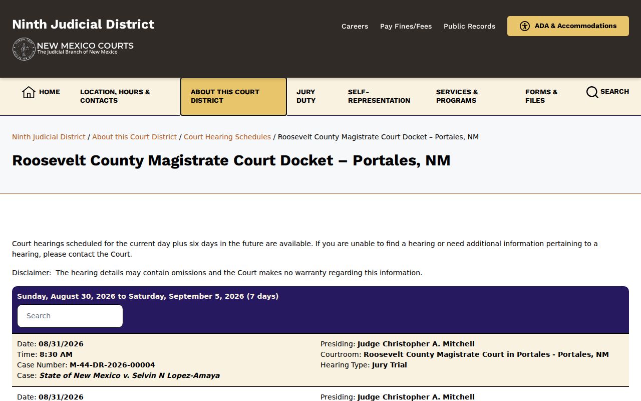 Roosevelt County civil dockets source image from the Magistrate Court docket page